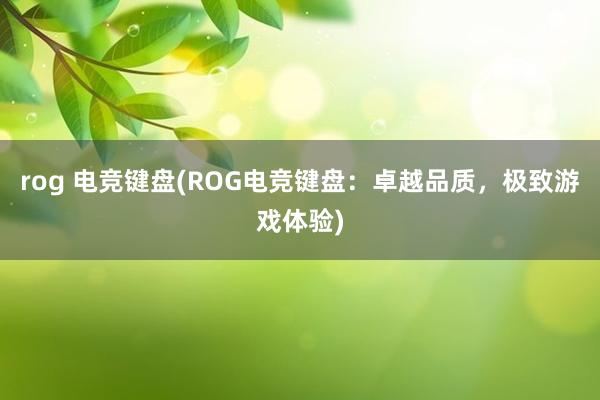 rog 电竞键盘(ROG电竞键盘：卓越品质，极致游戏体验)