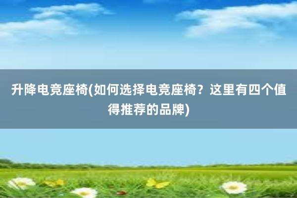 升降电竞座椅(如何选择电竞座椅？这里有四个值得推荐的品牌)