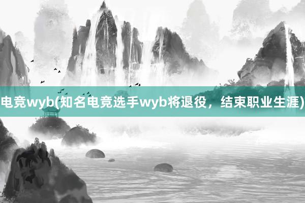 电竞wyb(知名电竞选手wyb将退役，结束职业生涯)