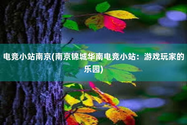 电竞小站南京(南京锦城华南电竞小站：游戏玩家的乐园)