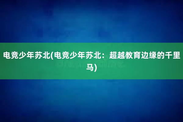 电竞少年苏北(电竞少年苏北：超越教育边缘的千里马)