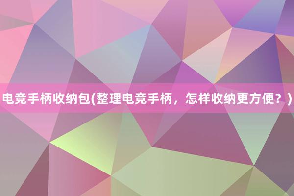 电竞手柄收纳包(整理电竞手柄，怎样收纳更方便？)