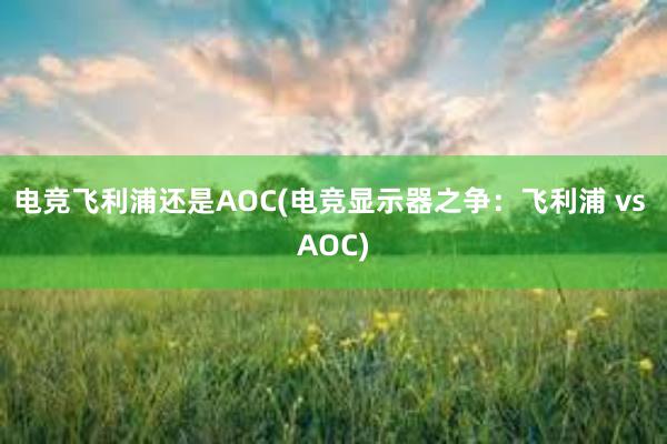 电竞飞利浦还是AOC(电竞显示器之争：飞利浦 vs AOC)