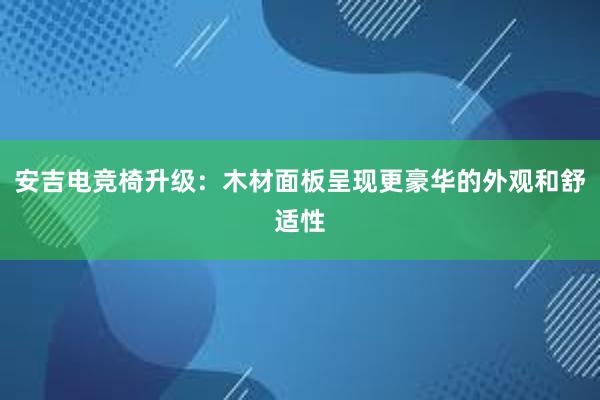 安吉电竞椅升级：木材面板呈现更豪华的外观和舒适性