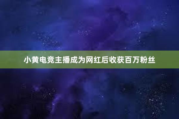 小黄电竞主播成为网红后收获百万粉丝