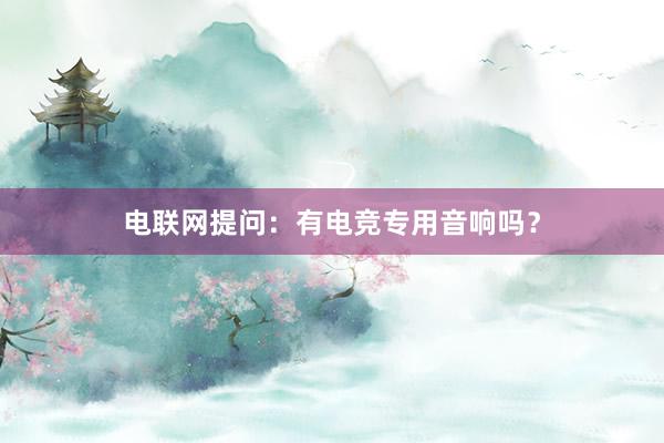 电联网提问：有电竞专用音响吗？