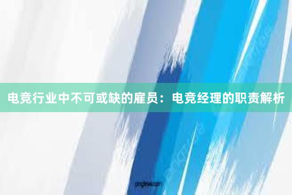 电竞行业中不可或缺的雇员：电竞经理的职责解析