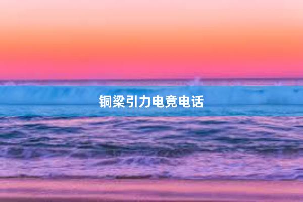 铜梁引力电竞电话