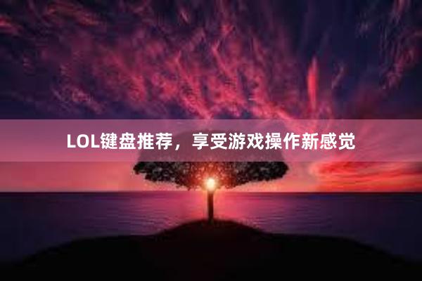 LOL键盘推荐，享受游戏操作新感觉