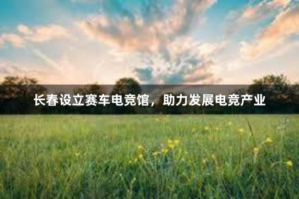 长春设立赛车电竞馆，助力发展电竞产业